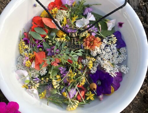 L’Acqua di San Giovanni: A Midsummer Blessing from the Old Ways