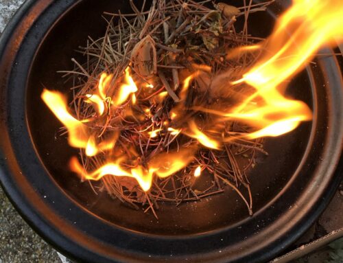 The Eternal Partnership Between Sacrifice & Gratitude