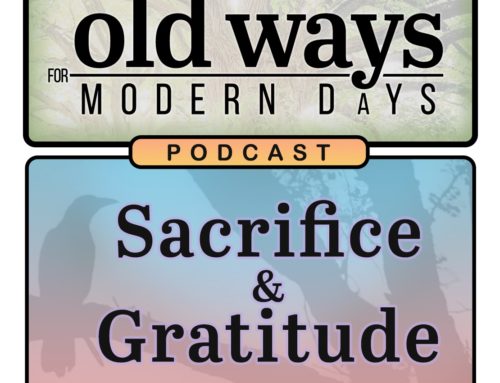 November: Sacrifice & Gratitude