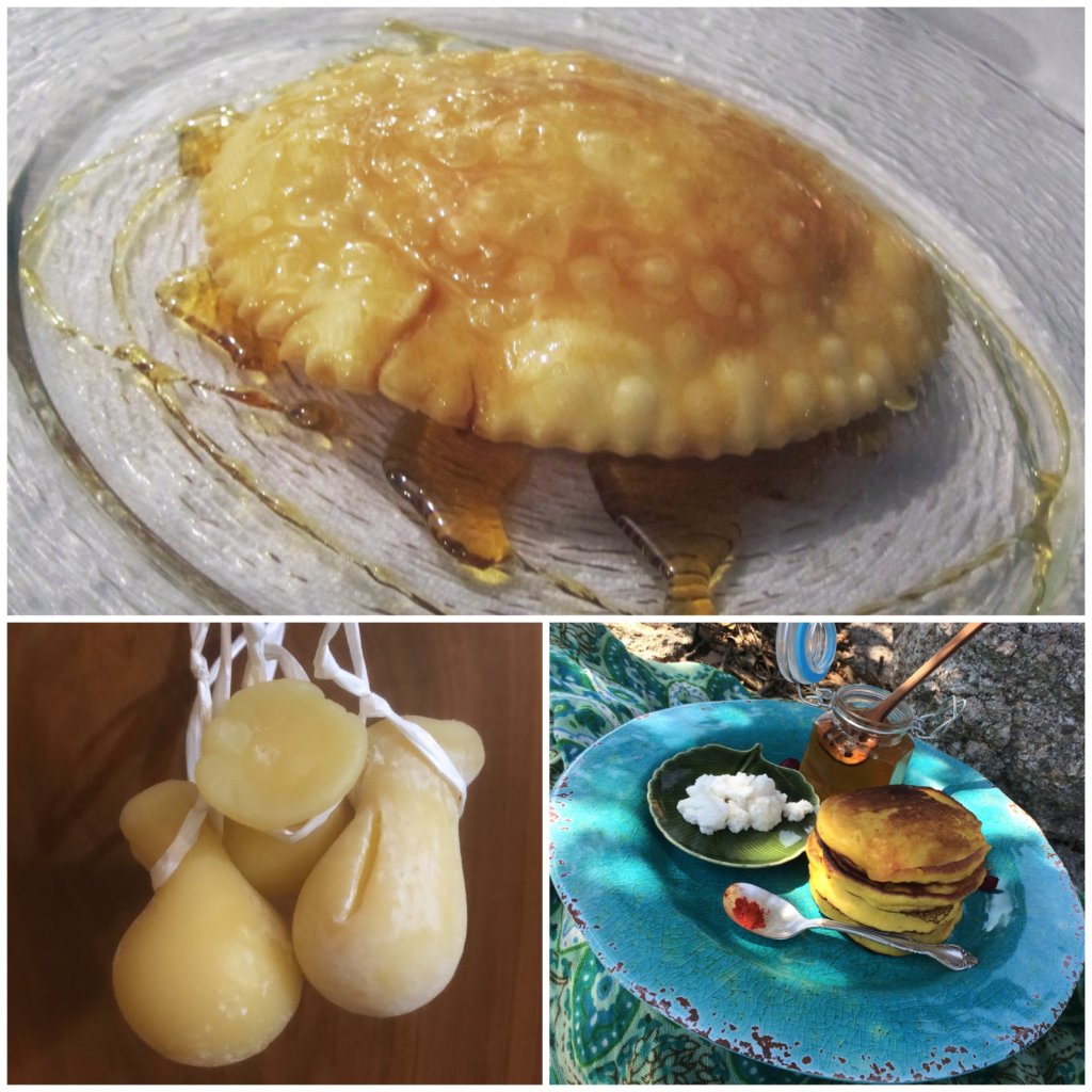 Part 3 Live Like a Sardinian The Key to Longevity Jenn Campus Author